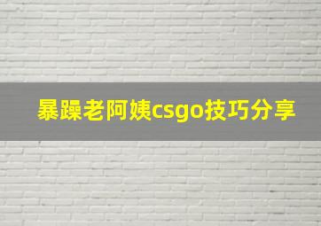 暴躁老阿姨csgo技巧分享