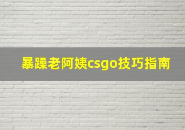 暴躁老阿姨csgo技巧指南