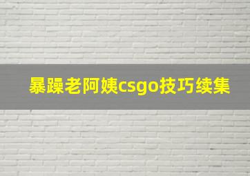 暴躁老阿姨csgo技巧续集