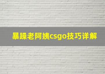 暴躁老阿姨csgo技巧详解