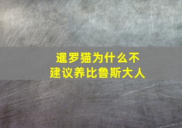 暹罗猫为什么不建议养比鲁斯大人