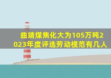 曲靖煤焦化大为105万吨2023年度评选劳动模范有几人