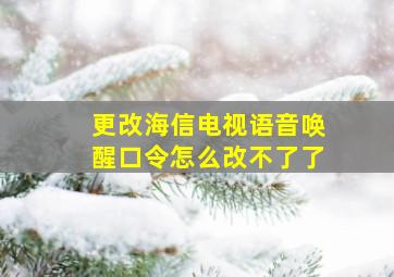 更改海信电视语音唤醒口令怎么改不了了