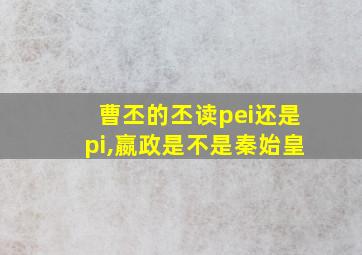 曹丕的丕读pei还是pi,嬴政是不是秦始皇