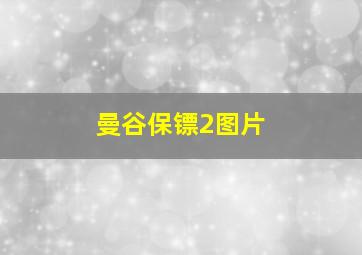 曼谷保镖2图片