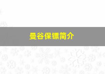 曼谷保镖简介