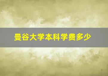 曼谷大学本科学费多少