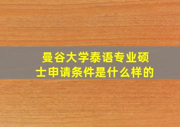 曼谷大学泰语专业硕士申请条件是什么样的