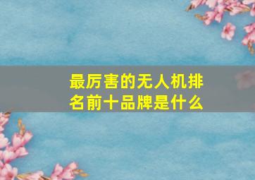 最厉害的无人机排名前十品牌是什么