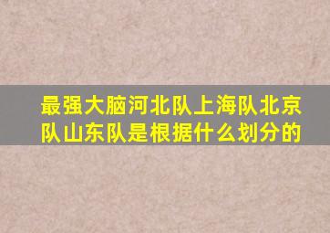 最强大脑河北队上海队北京队山东队是根据什么划分的