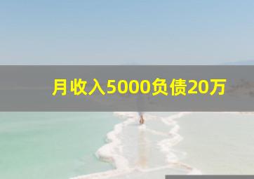 月收入5000负债20万