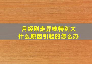 月经刚走异味特别大什么原因引起的怎么办