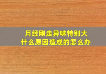 月经刚走异味特别大什么原因造成的怎么办