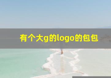 有个大g的logo的包包