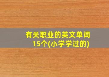 有关职业的英文单词15个(小学学过的)