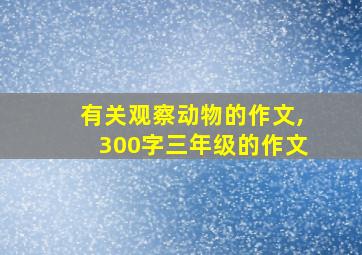 有关观察动物的作文,300字三年级的作文