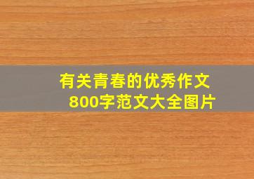 有关青春的优秀作文800字范文大全图片