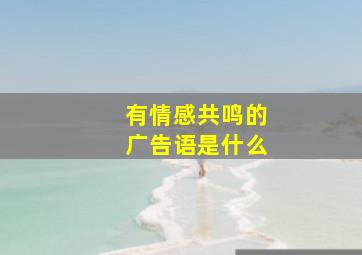 有情感共鸣的广告语是什么