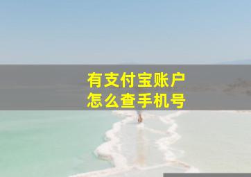 有支付宝账户怎么查手机号