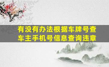 有没有办法根据车牌号查车主手机号信息查询违章