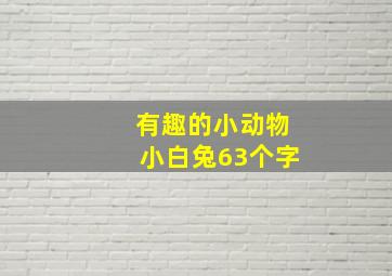 有趣的小动物小白兔63个字