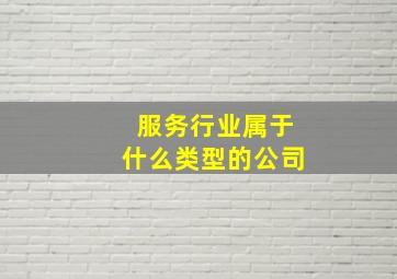 服务行业属于什么类型的公司