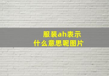 服装ah表示什么意思呢图片