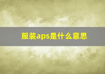 服装aps是什么意思