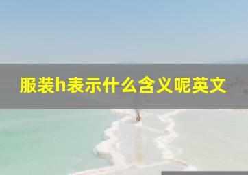 服装h表示什么含义呢英文