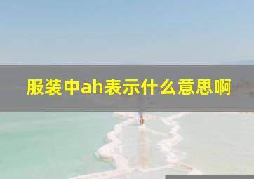 服装中ah表示什么意思啊