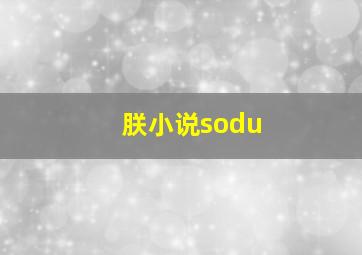 朕小说sodu