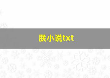 朕小说txt