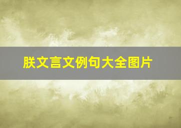 朕文言文例句大全图片