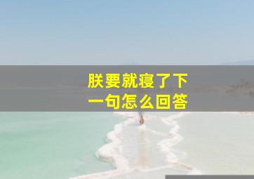 朕要就寝了下一句怎么回答