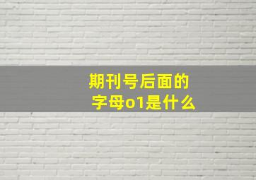 期刊号后面的字母o1是什么