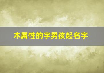 木属性的字男孩起名字