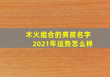 木火组合的男孩名字2021年运势怎么样