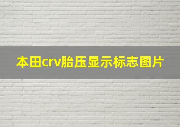 本田crv胎压显示标志图片