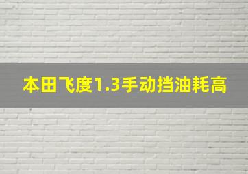 本田飞度1.3手动挡油耗高