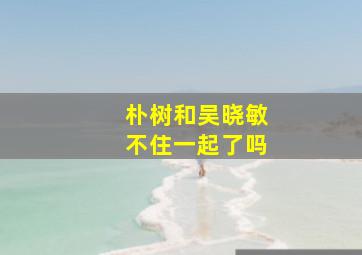 朴树和吴晓敏不住一起了吗