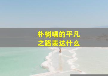 朴树唱的平凡之路表达什么