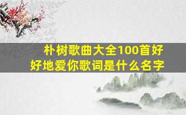 朴树歌曲大全100首好好地爱你歌词是什么名字