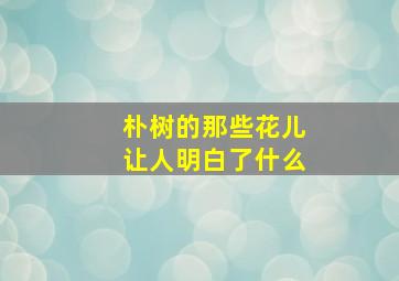 朴树的那些花儿让人明白了什么