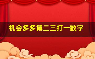 机会多多博二三打一数字