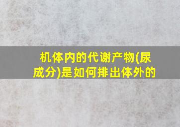 机体内的代谢产物(尿成分)是如何排出体外的