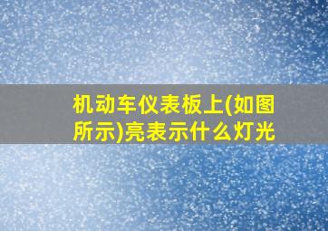 机动车仪表板上(如图所示)亮表示什么灯光