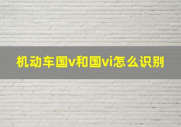 机动车国v和国vi怎么识别