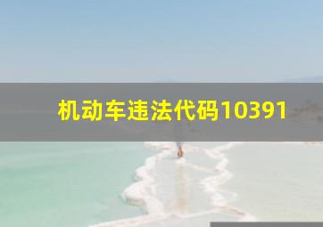 机动车违法代码10391