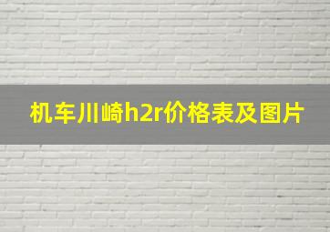 机车川崎h2r价格表及图片