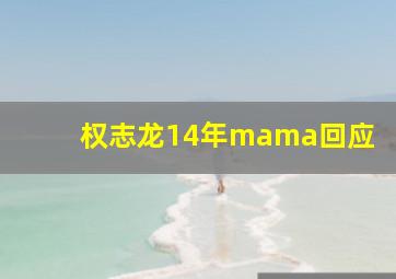 权志龙14年mama回应